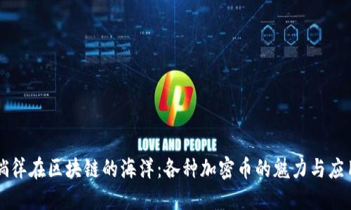 徜徉在区块链的海洋：各种加密币的魅力与应用